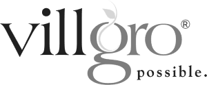 Logo 13